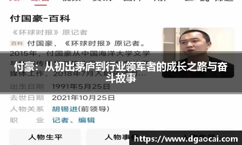 付豪：从初出茅庐到行业领军者的成长之路与奋斗故事