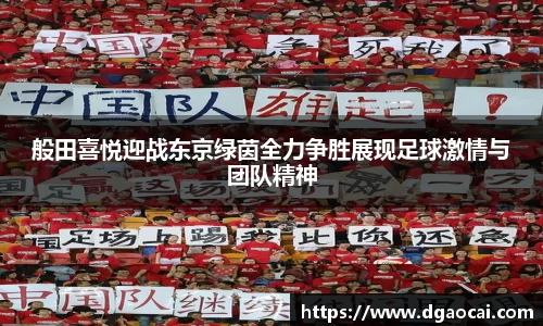 非凡体育app